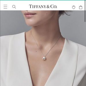 Sterling Silver Tiffany’s Necklace